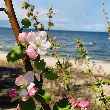 דירה Aquamarina Onyx Blue *
